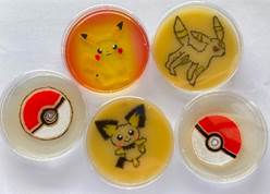 Concourir pour Agar’Art*